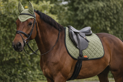 Tapis de selle et Bonnet Cheval Pegasus – Set Équestre Absorbant & Respirant