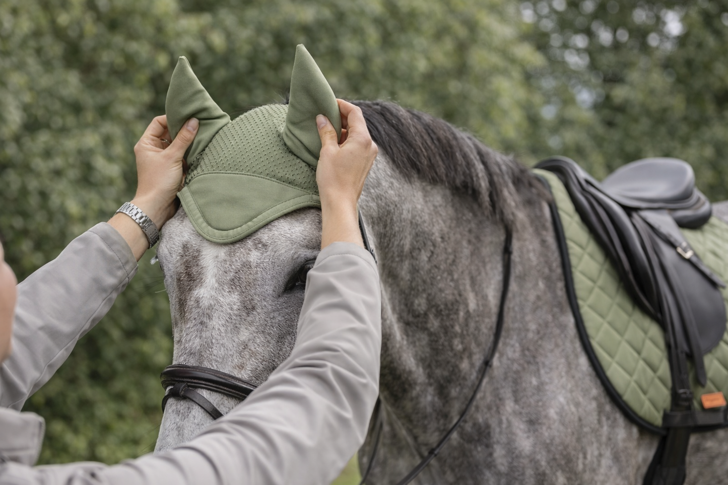 Tapis de selle et Bonnet Cheval Pegasus – Set Équestre Absorbant & Respirant