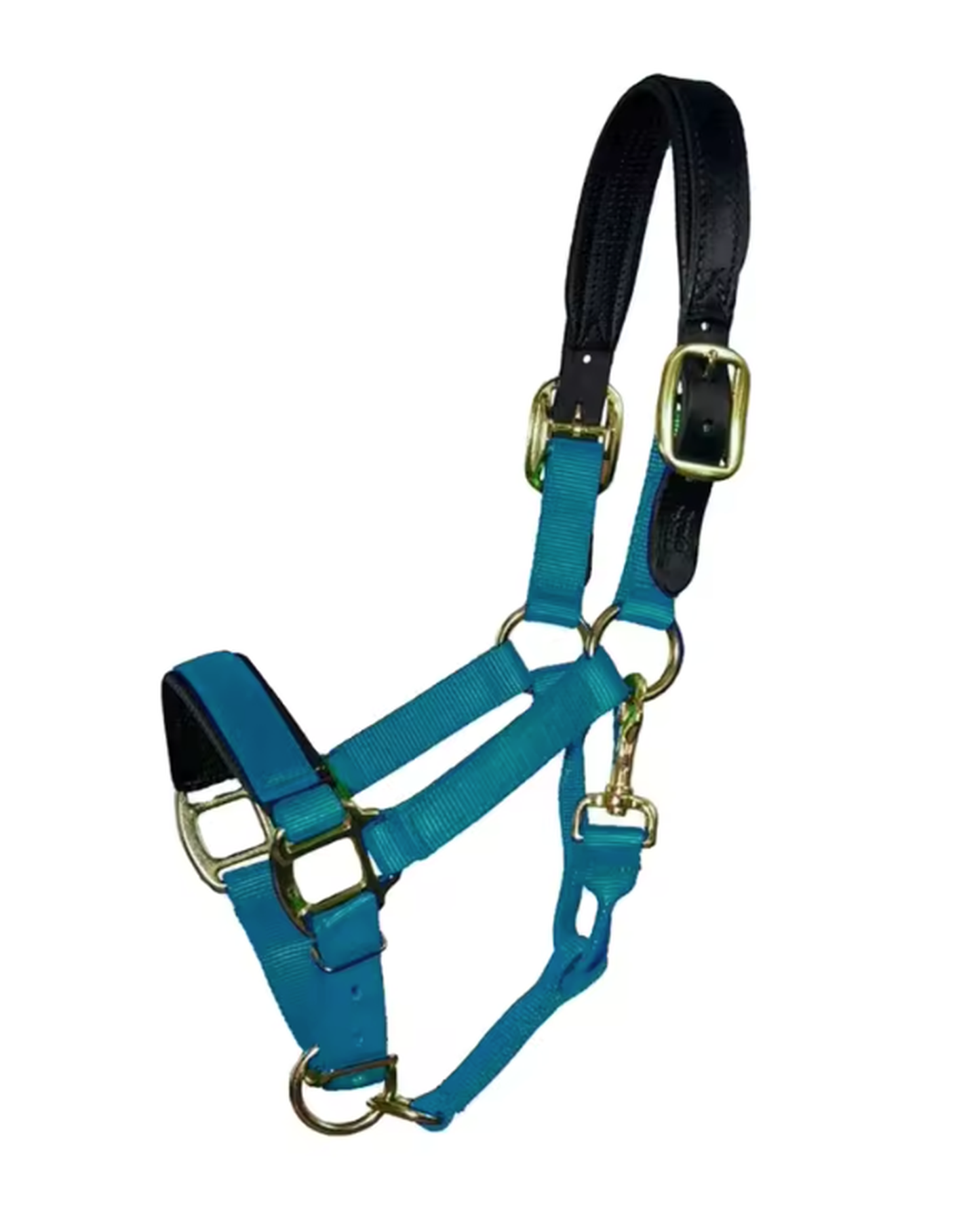 Licol pour cheval en nylon réglable – Plusieurs coloris