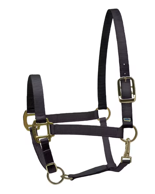 Licol pour cheval en nylon réglable – Plusieurs coloris