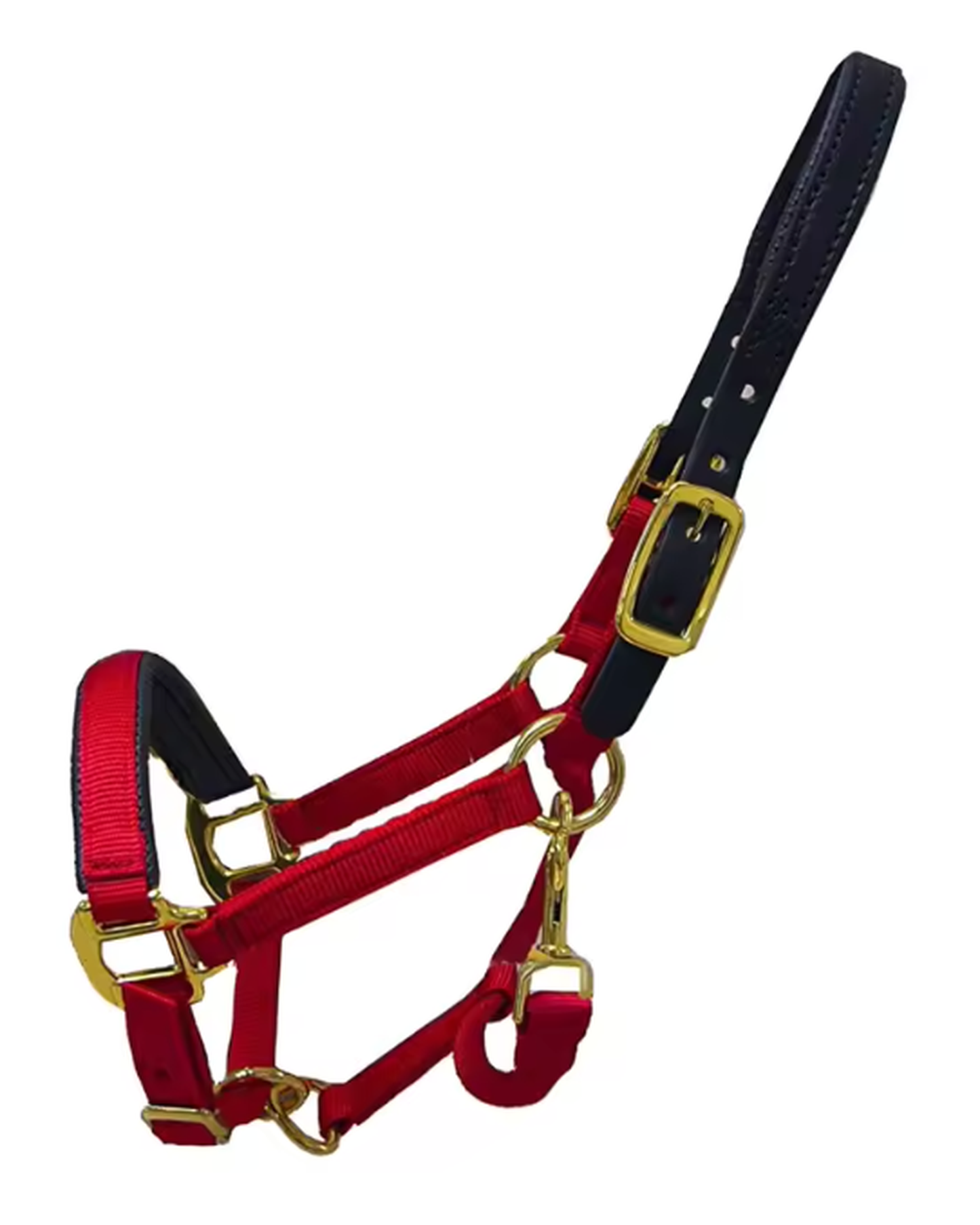 Licol pour cheval en nylon réglable – Plusieurs coloris